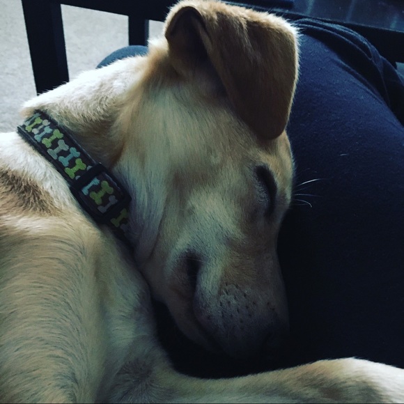 Meet your Posher, Nicole - Picture 1 of 1